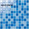 MST25030