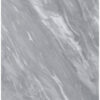 Perico Gris